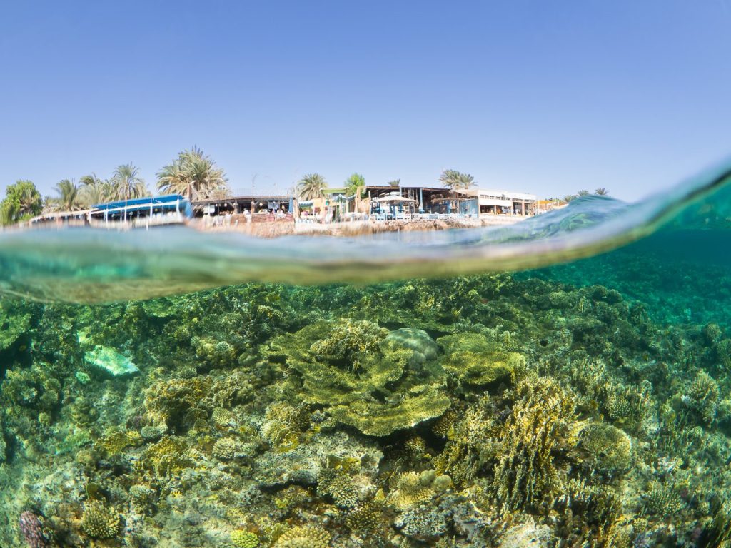 Korallenriff vor Dahab im Roten Meer. Korallenriff vor Dahab im Roten Meer.