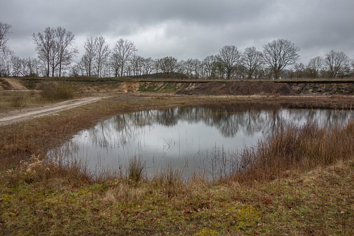 Laichgewässer der Erdkröte und anderer Amphibienarten.
